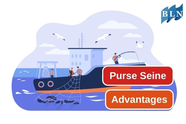 5 Advantages of Purse Seine as a Fishing Gear 